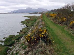 The old route of the railway into Dundrum is now used as a coastal walkway