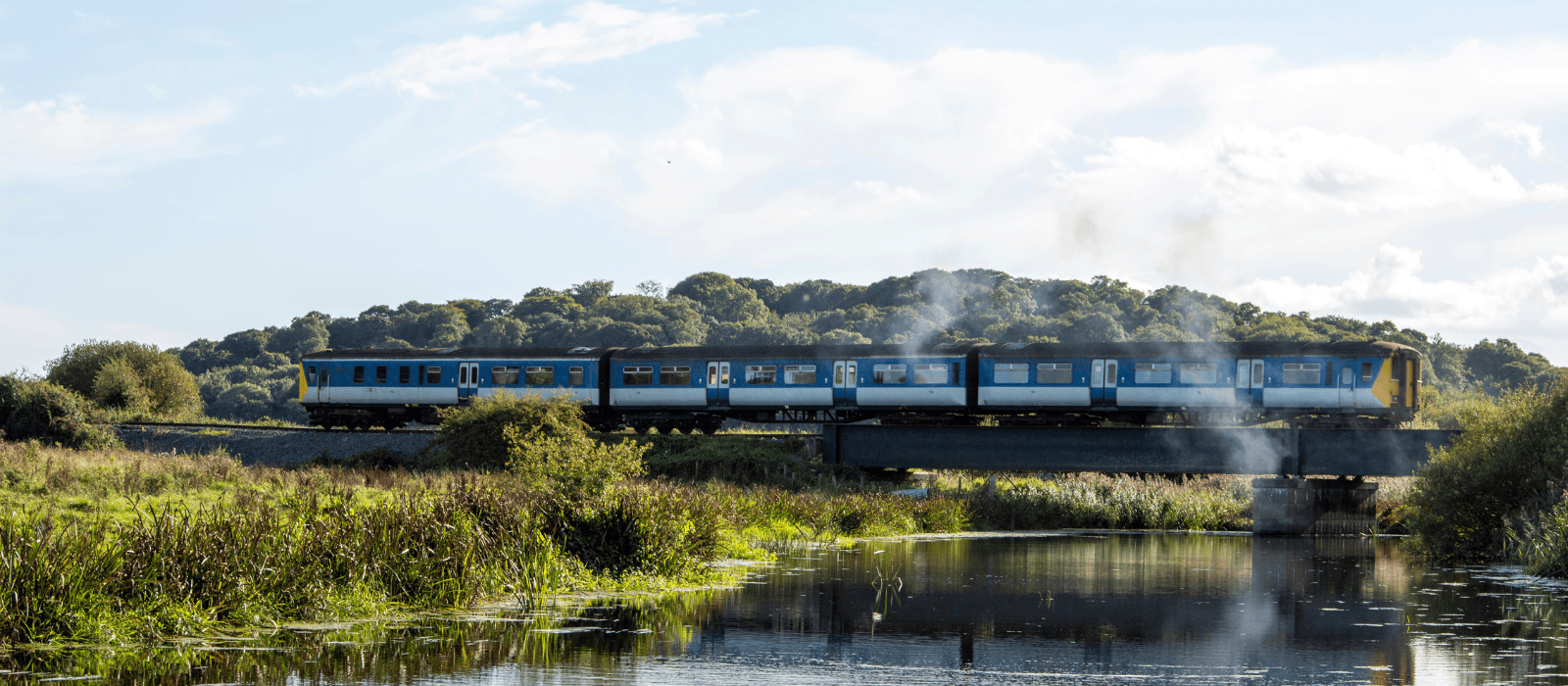 Summer trains